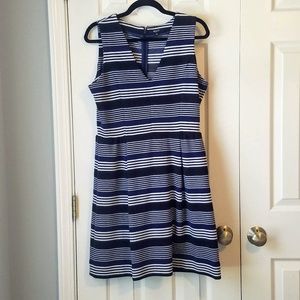 Madewell Blue Stripe Fit & Flare V-Neck Dress